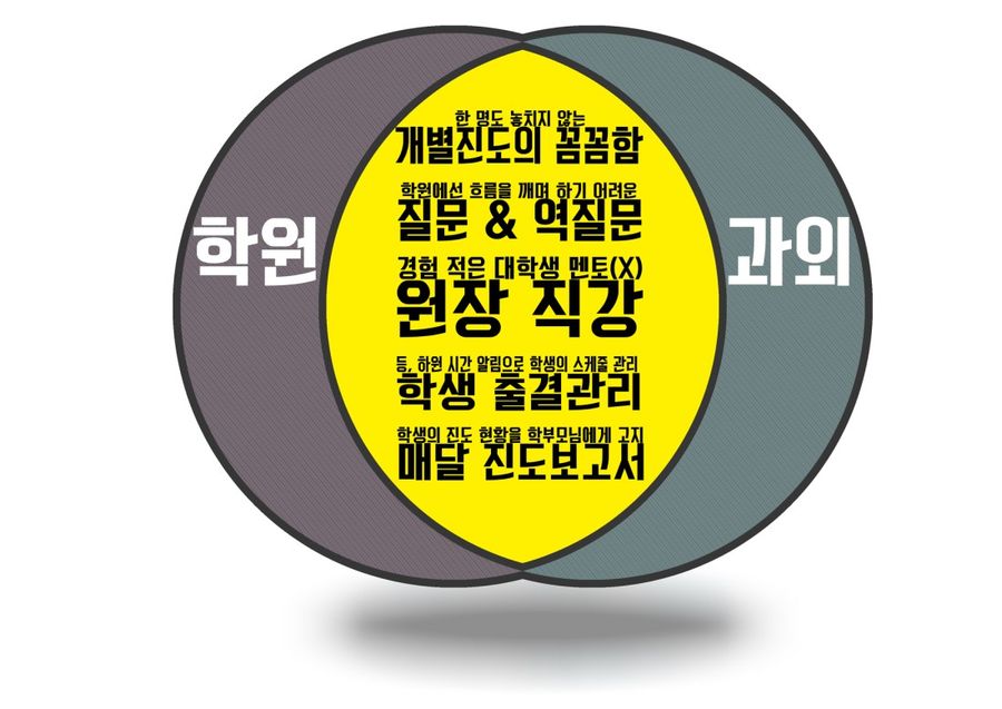 학원과 과외의 장점을 합친 수업 방식 도식